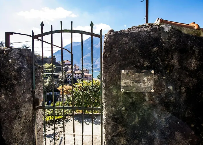 Il Giardino Di ネッソ